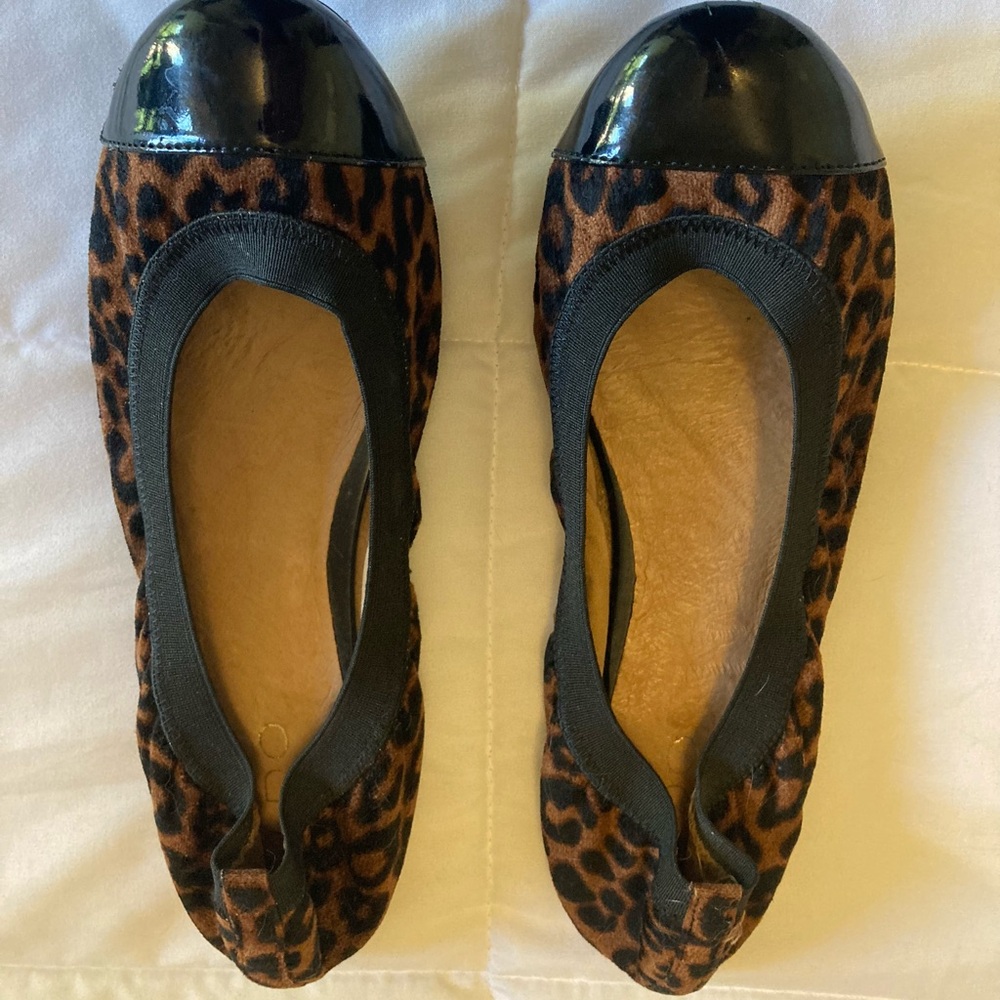Aldo Ballet flats